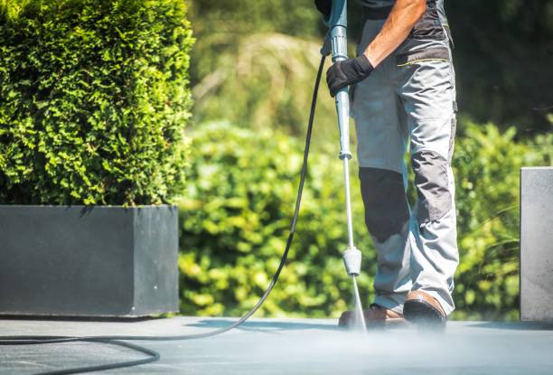 Best House Exterior Washing  in Flatwoods, KY